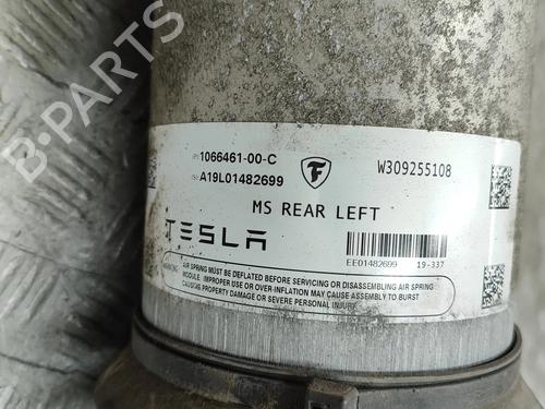 Left rear shock absorber TESLA MODEL S (5YJS) P100D AWD | BP32238874M18 