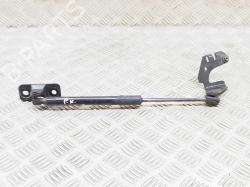 hood-lift-support-tesla-model-3-5yj3-2017-27763262 main image