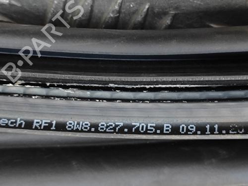 Rubber door seal AUDI A5 Sportback (F5A, F5F) 35 TFSI Mild Hybrid | BP28432233C142 