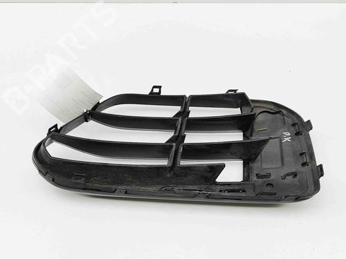 Grille BMW X1 (F48) sDrive 18 d | BP29730977C40 