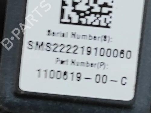 Câmera TESLA MODEL Y (5YJY) EV Performance All-wheel Drive | BP31297004E14 