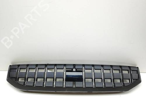 Used Grille Grille POLESTAR POLESTAR 2 (534) EV (224 hp) 36507416 36507416