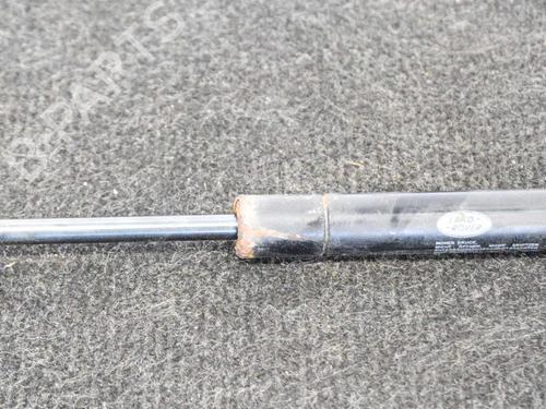 Hood lift support LAND ROVER RANGE ROVER EVOQUE (L538) 2.2 D 4x4 | BP14607886C139 