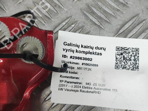 Hinge/Door check strap MG MG ZS SUV (AZS1) EV | BP28557826C146 