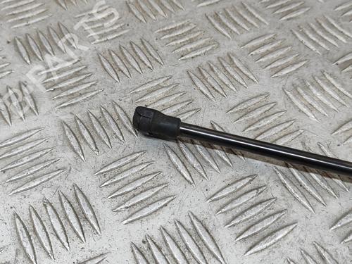 Hood lift support LEXUS NX (_Z1_) 300h AWD (AYZ15_, AYZ15R) | BP28432685C139