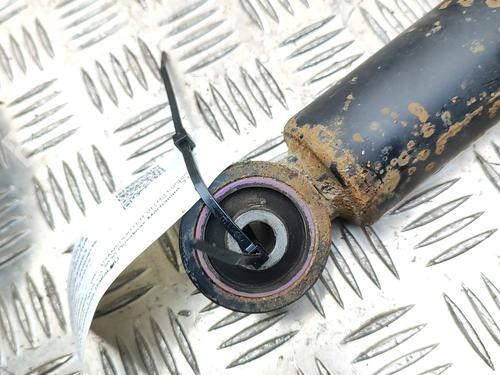 Left rear shock absorber VW TRANSPORTER T6 Van (SGA, SGH, SHA, SHH) 2.0 TDI | BP29920635M18