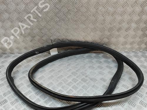 Rubber door seal TESLA MODEL X (5YJX) P100D AWD | BP25217855C142 