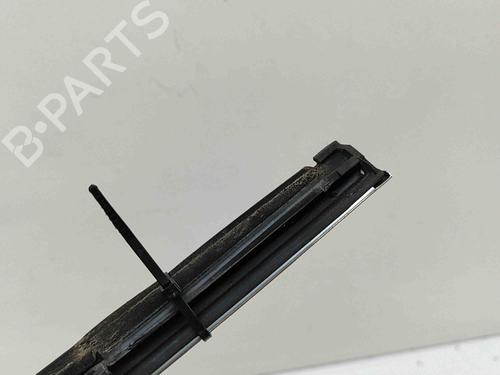 Door moulding trim TESLA MODEL X (5YJX) P100D AWD | BP28435662C150