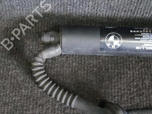 Tailgate lift support BMW X5 (F15, F85) xDrive 30 d | BP14653024C138 