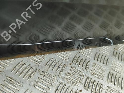 Left front door ISUZU D-MAX I (TFR, TFS) 3.0 DiTD 4x4 (TFS85_) | BP29227247C2 