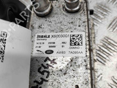 Oil radiator JAGUAR XE (X760) 2.0 D | BP19937526M33