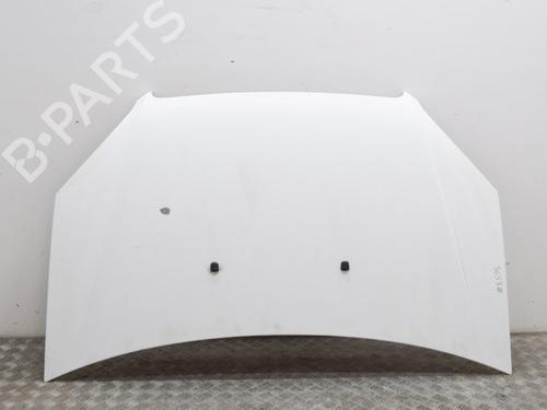 Used Hood FIAT DOBLO Box Body/MPV (223_) 1.3 D Multijet (75 hp) 10221155