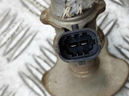 Injector LAND ROVER DISCOVERY V (L462) D300 MHEV 4x4 | BP33379343M100 - Image 9