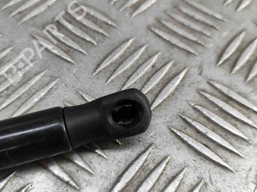 Hood lift support BMW X1 (F48) xDrive 20 d | BP29227432C139 