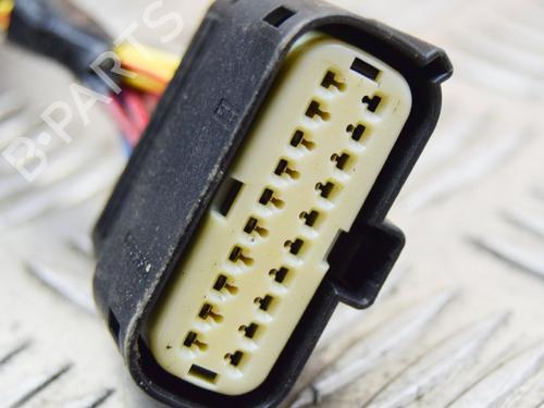 Wiring harness TESLA MODEL S (5YJS) P85 | BP14617983E16 