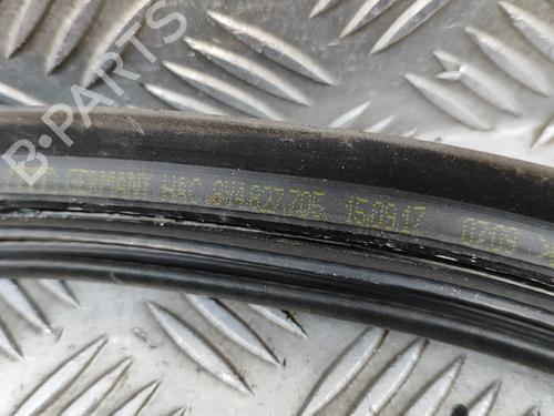 Rubber door seal AUDI A3 Sportback (8VA, 8VF) RS3 quattro | BP24142435C142 
