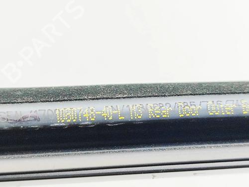 Dørliste TESLA MODEL 3 (5YJ3) EV | BP33697595C150 - Image 5