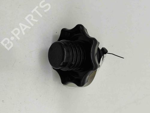 Support AUDI A3 Sportback (8VA, 8VF) RS3 quattro | BP29404137C155 