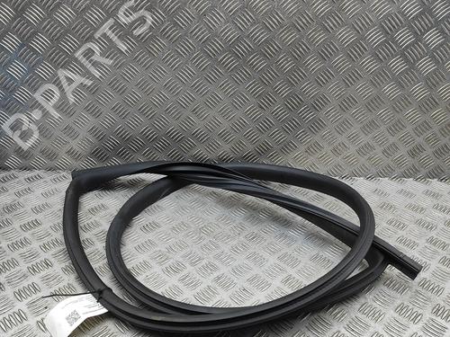 Gummiliste TESLA MODEL 3 (5YJ3) EV | BP32269374C142