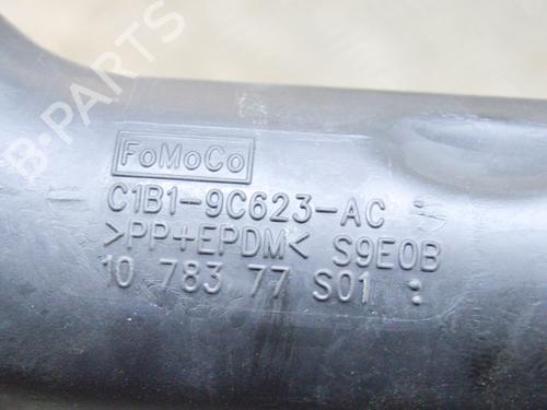 Pipe FORD FIESTA VI (CB1, CCN) 1.0 EcoBoost | BP14649008M125 