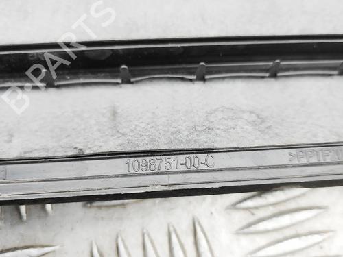 Grill TESLA MODEL Y (5YJY) Long Range All-wheel Drive | BP38782598C40  - Image 6
