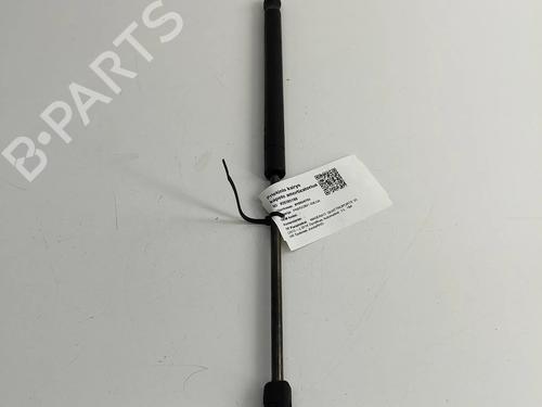 Hood lift support MASERATI QUATTROPORTE VI 3.0 D | BP24818464C139