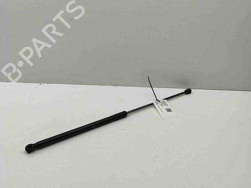 Tailgate lift support LAND ROVER RANGE ROVER EVOQUE (L538) 2.0 D 4x4 | BP28434309C138