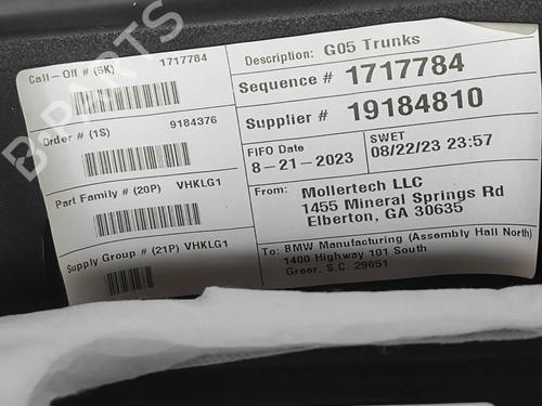 Boot lining BMW X6 (G06, F96) xDrive 30 d Mild-Hybrid | BP32525462I3