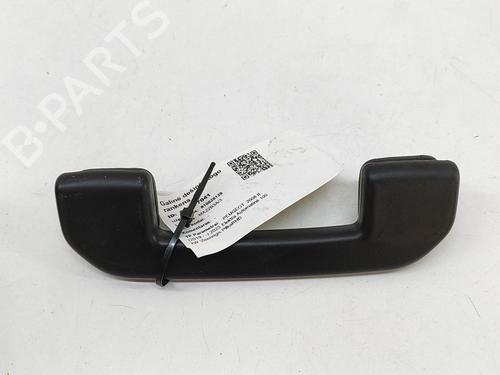 Interior roof handle PEUGEOT 2008 II (UD_, US_, UY_, UJ_, UR_, UC_) e-2008 (UKZKXZ) | BP29042439I35 