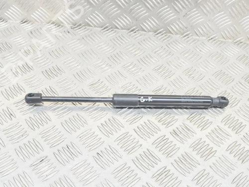 tailgate-lift-support-tesla-model-3-5yj3-2017-27751434 main image