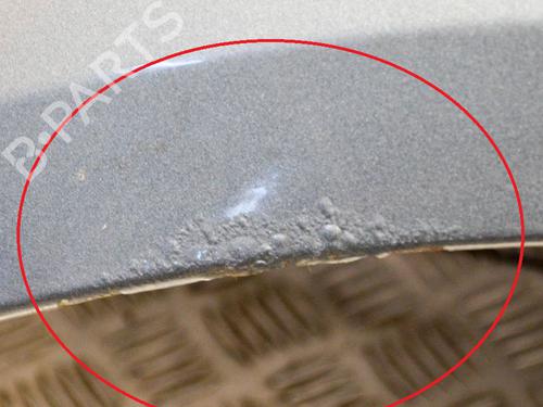Left front fenders NISSAN PATHFINDER III (R51) 2.5 dCi 4WD | BP9227407C41 