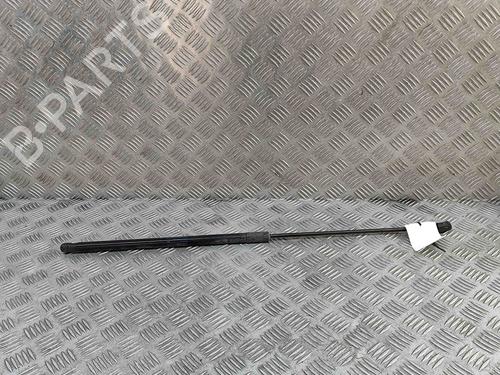 Used Hood lift support VW PASSAT B7 Variant (365) 1.6 TDI (105 hp) 27267262