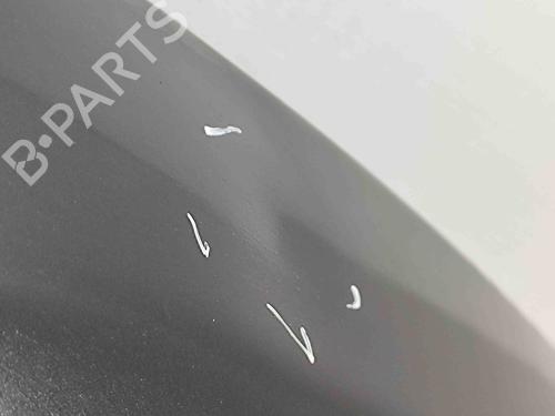 Hood LAND ROVER RANGE ROVER EVOQUE (L538) 2.0 D 4x4 | BP29637513C1 