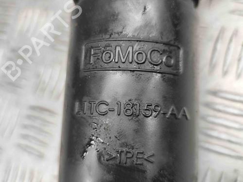 Venstre bagtil støddæmper FORD PUMA (J2K, CF7) 1.0 EcoBoost mHEV | BP27779823M18 