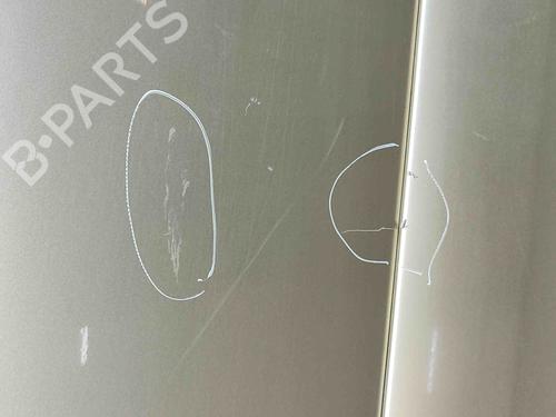 Left front door TOYOTA LAND CRUISER PRADO (_J12_) 3.0 D-4D (KDJ120, KDJ125, KDJ121) | BP29075865C2