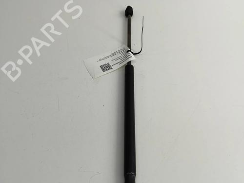 Hood lift support MASERATI QUATTROPORTE VI 3.0 D | BP24818464C139