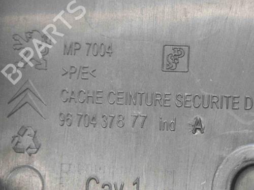 Step PEUGEOT 3008 I MPV (0U_) 1.6 HDi | BP14611465C149