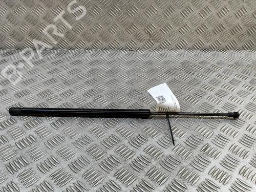 tailgate-lift-support-nissan-juke-f16_-2019-27794428 main image