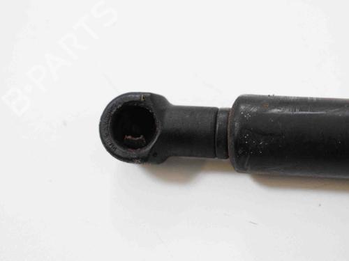 Hood lift support BMW 3 (E90) 320 d | BP30256424C139