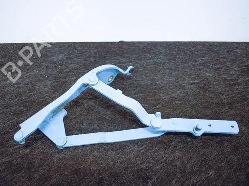 Hinge/Door check strap FIAT 500 (312_) 1.2 (312AXA1A) | BP14664819C146