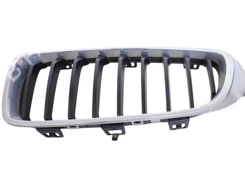 Used Grille FORD USA MUSTANG Coupe 5.0 302 (450 hp) 30256420