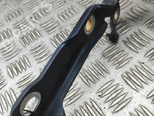 Hinge/Door check strap JAGUAR XJ (X350, X358) D 2.7 | BP31021257C146