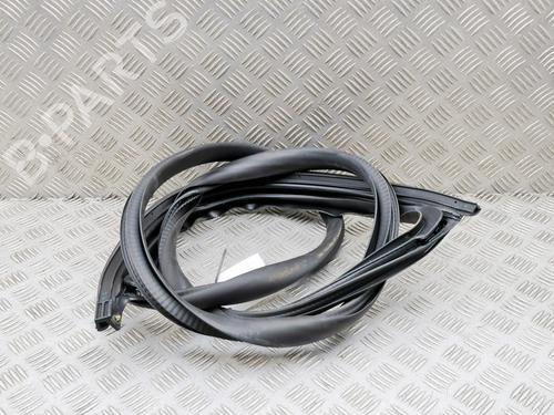 Gummiliste TESLA MODEL 3 (5YJ3) EV | BP38466979C142 - Image 2