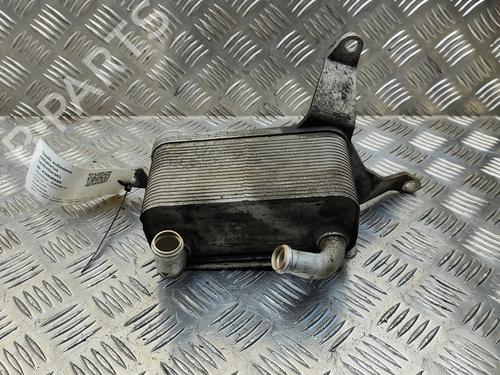 Oliekøler FORD RANGER (TKE) 2.0 EcoBlue 4x4 | BP29975724M33