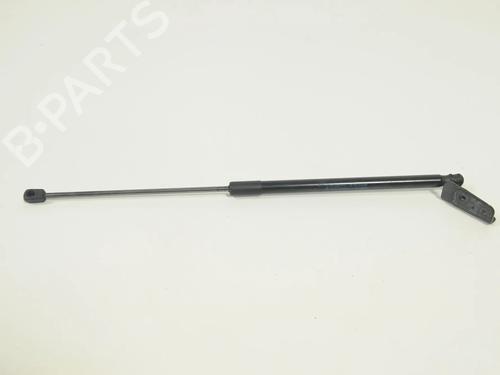 tailgate-lift-support-ford-focus-iii-2010-2011-2012-2013-2014-2015-2016-2017-2018-2019-2020-33374379 main image