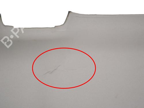 Interior roof DODGE RAM 1500 Pickup (DJ, DS) 5.7 4x4 | BP36043989I12 - Image 5