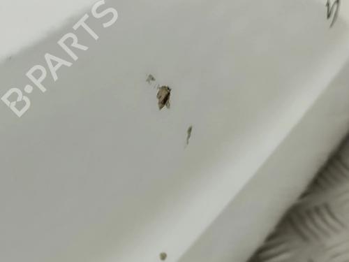 Rear bumper AUDI A6 C8 (4A2) 40 TDI | BP31951104C8 