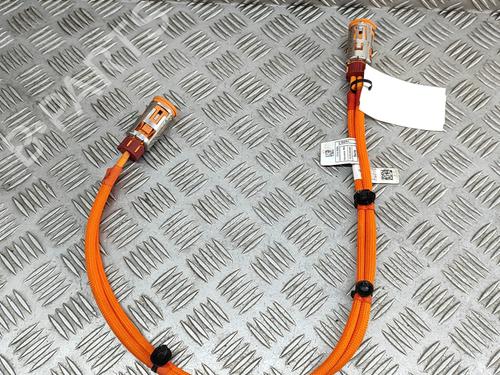 Ledningsnett BMW X2 (U10) iX2 eDrive 20 | BP27798614E16