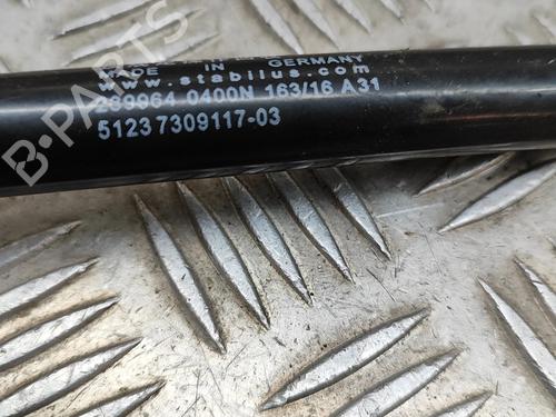 Hood lift support BMW 5 (F10) 535 d | BP16141626C139