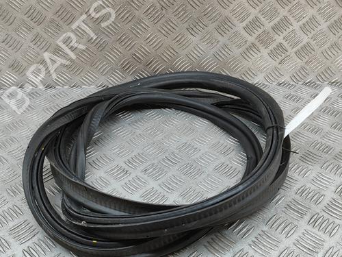 Gomma contorno porta BMW X1 (U11) iX1 xDrive 30 (313 hp) 28555484